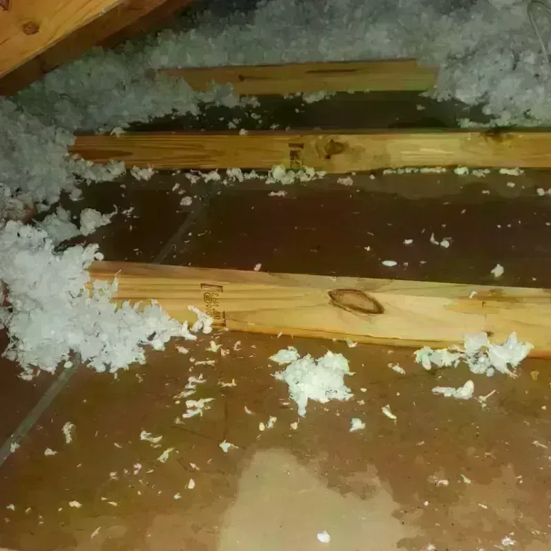 Attic Water Damage in Somerset, OH