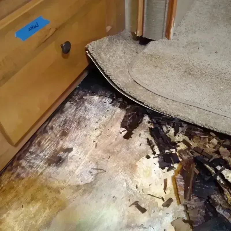 Wood Floor Water Damage in Somerset, OH